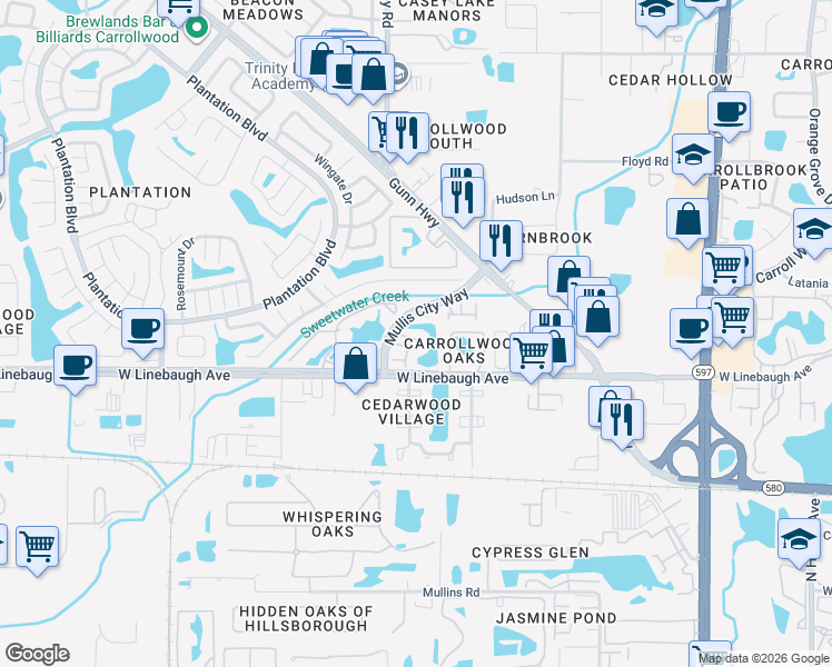 map of restaurants, bars, coffee shops, grocery stores, and more near 4311 Deermont Circle in Tampa