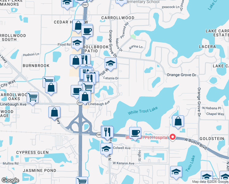 map of restaurants, bars, coffee shops, grocery stores, and more near 10366 Carrollwood Lane in Tampa