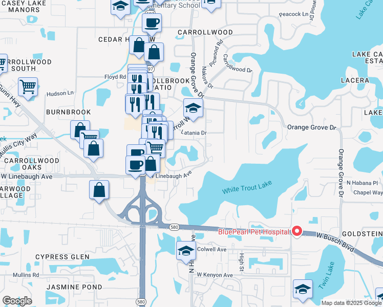 map of restaurants, bars, coffee shops, grocery stores, and more near 10366 Carrollwood Lane in Tampa