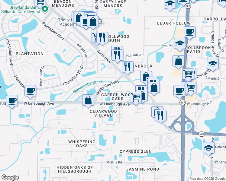 map of restaurants, bars, coffee shops, grocery stores, and more near 10110 Abingdon Place in Tampa