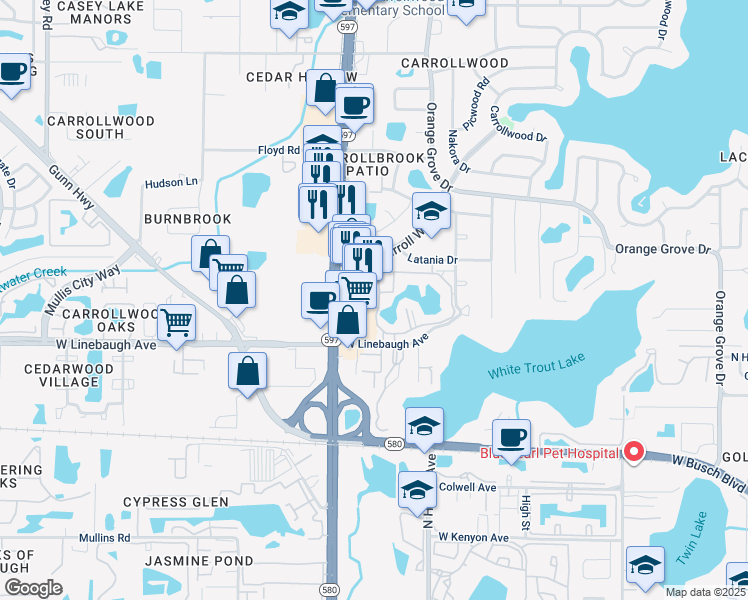 map of restaurants, bars, coffee shops, grocery stores, and more near 10310 Carrollwood Court in Tampa