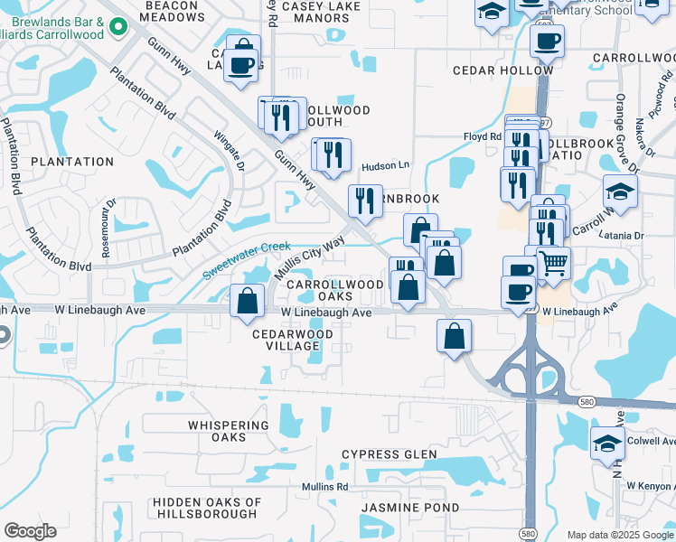 map of restaurants, bars, coffee shops, grocery stores, and more near 10117 Farmingdale Place in Tampa