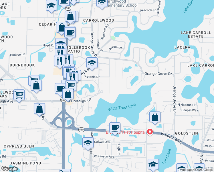 map of restaurants, bars, coffee shops, grocery stores, and more near 10024 Hampton Place in Tampa