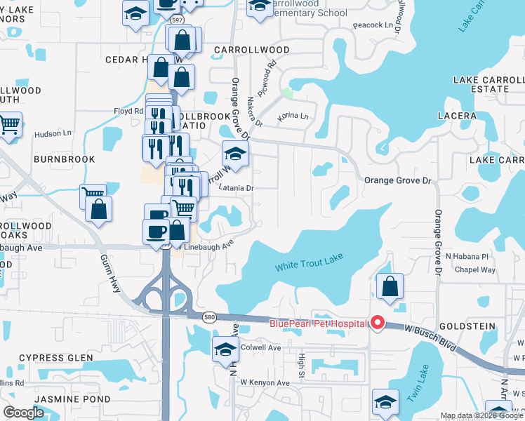 map of restaurants, bars, coffee shops, grocery stores, and more near 10024 Hampton Place in Tampa