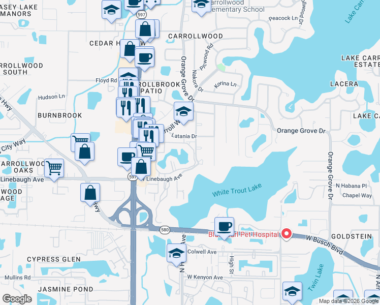 map of restaurants, bars, coffee shops, grocery stores, and more near 10376 Carrollwood Lane in Tampa
