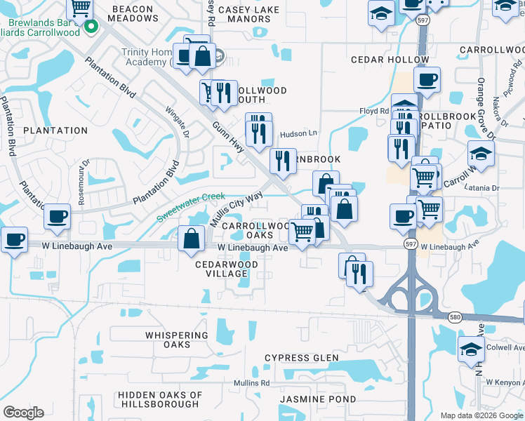 map of restaurants, bars, coffee shops, grocery stores, and more near 10117 Farmingdale Place in Tampa