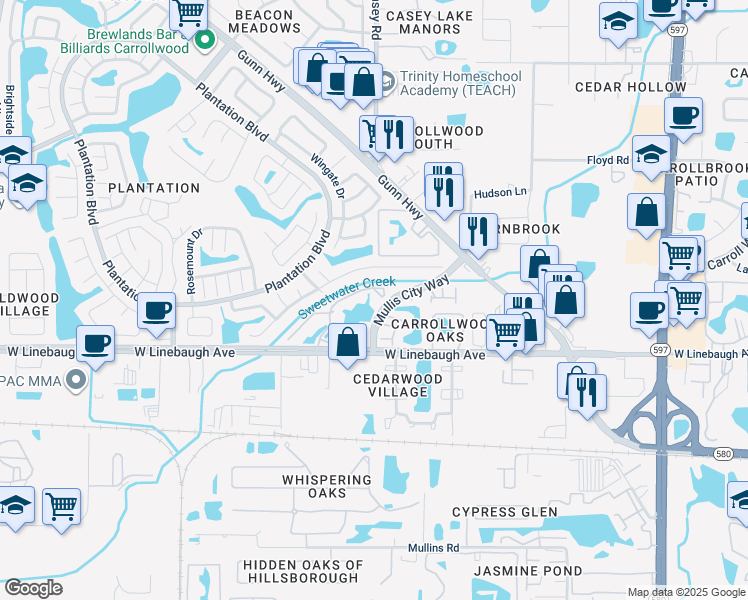 map of restaurants, bars, coffee shops, grocery stores, and more near 10151 Mullis City Way in Tampa