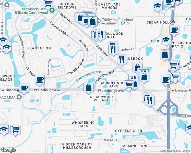 map of restaurants, bars, coffee shops, grocery stores, and more near 10151 Mullis City Way in Tampa
