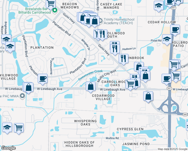 map of restaurants, bars, coffee shops, grocery stores, and more near 4520 Shadberry Drive in Tampa