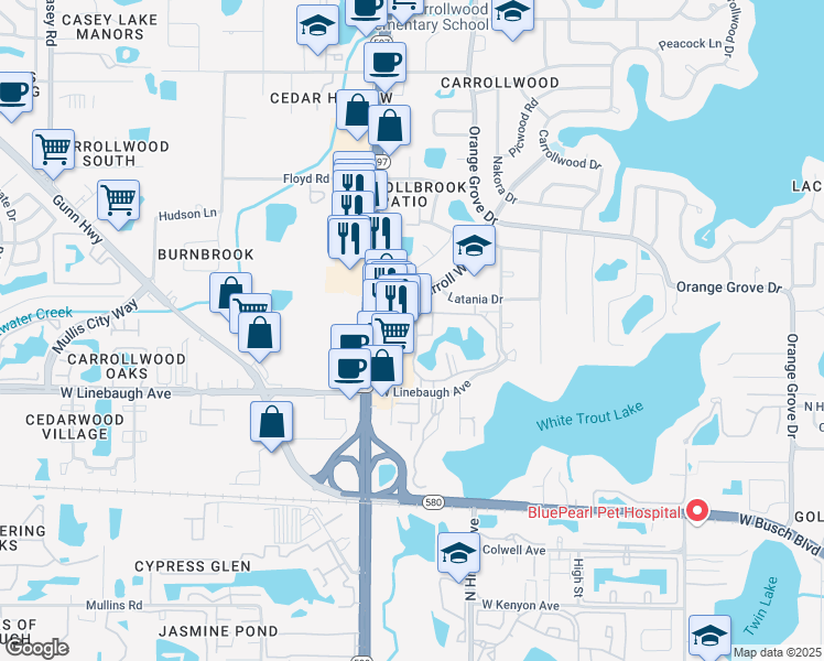 map of restaurants, bars, coffee shops, grocery stores, and more near 10310 Carrollwood Court in Tampa