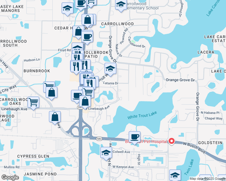map of restaurants, bars, coffee shops, grocery stores, and more near 10376 Carrollwood Lane in Tampa