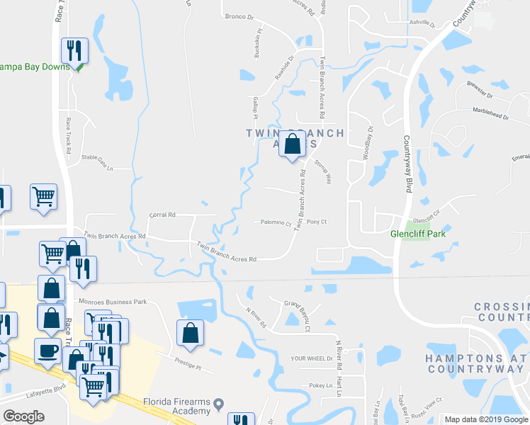 map of restaurants, bars, coffee shops, grocery stores, and more near 12509 Palomino Ct in Tampa