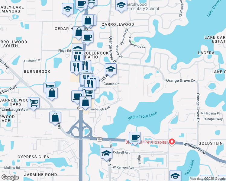 map of restaurants, bars, coffee shops, grocery stores, and more near 10376 Carrollwood Lane in Tampa