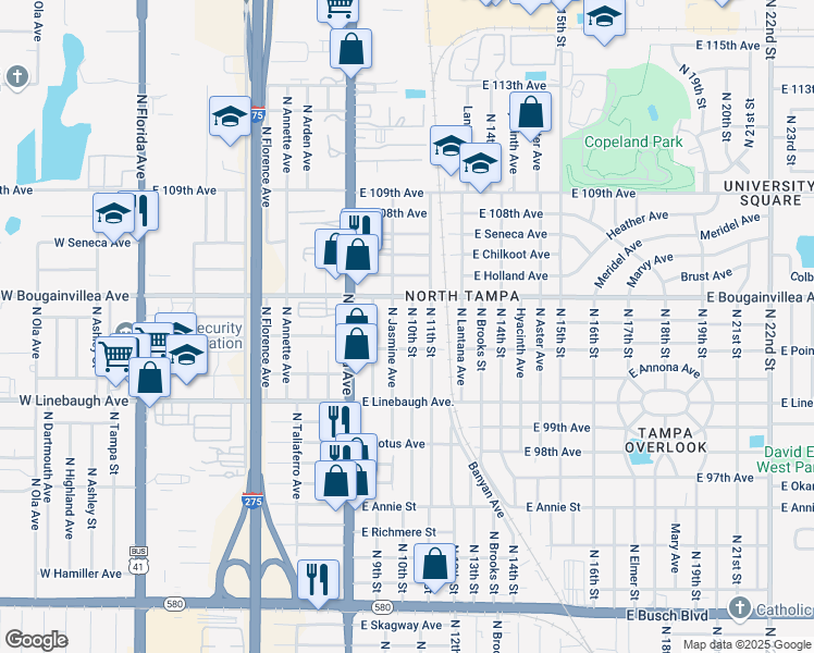 map of restaurants, bars, coffee shops, grocery stores, and more near 10110 N 10th St in Tampa