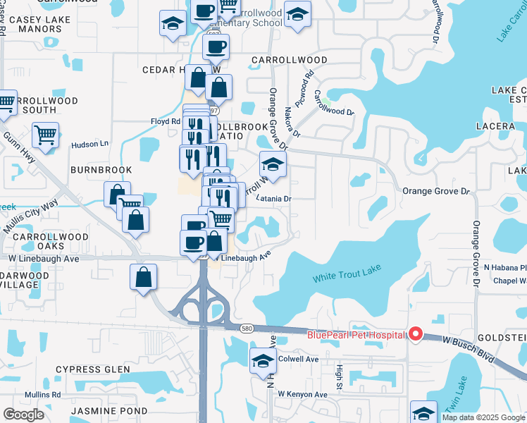 map of restaurants, bars, coffee shops, grocery stores, and more near 10388 Carrollwood Lane in Tampa