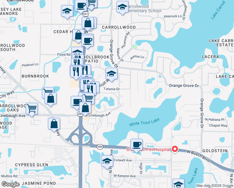 map of restaurants, bars, coffee shops, grocery stores, and more near 10376 Carrollwood Lane in Tampa