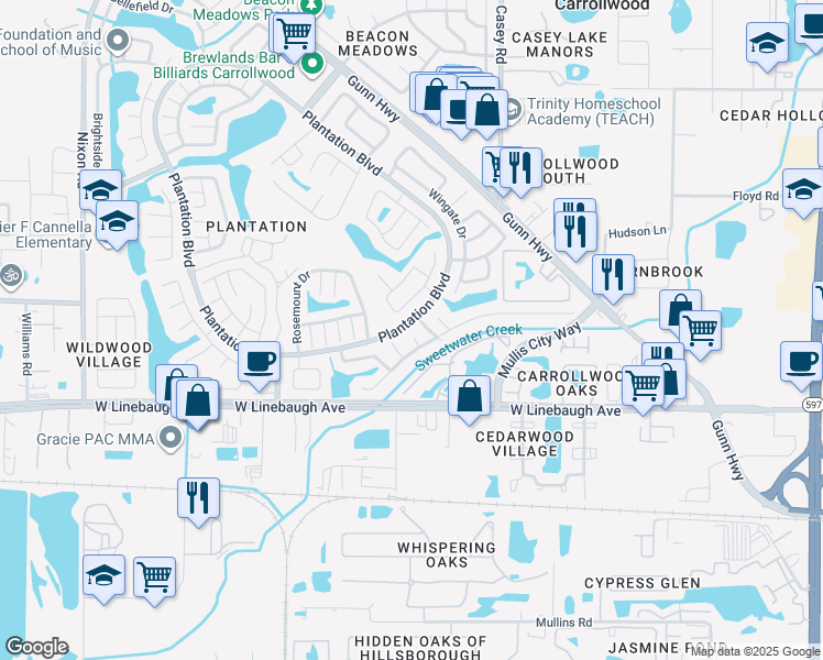 map of restaurants, bars, coffee shops, grocery stores, and more near 10009 Regal Woods Lane in Tampa