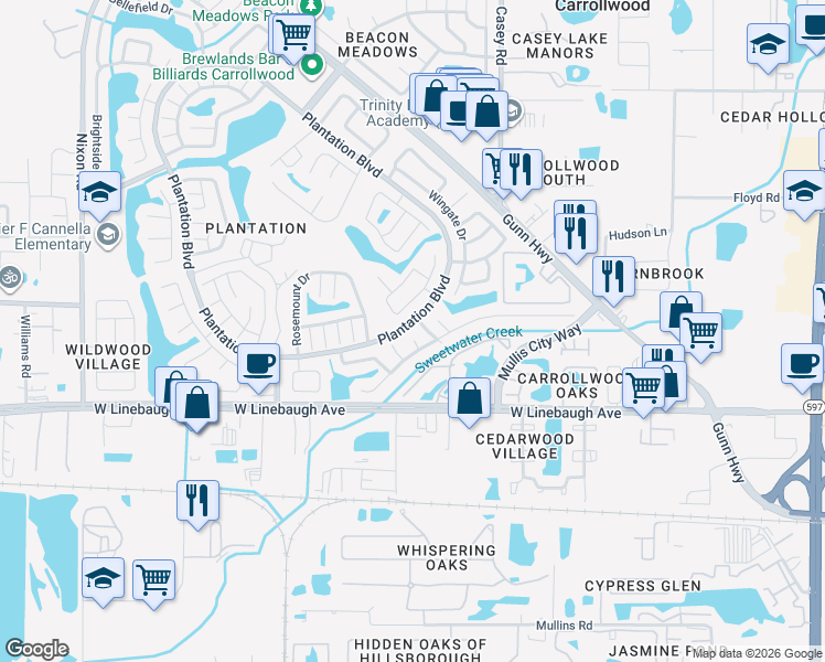 map of restaurants, bars, coffee shops, grocery stores, and more near 10009 Regal Woods Lane in Tampa