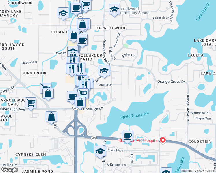 map of restaurants, bars, coffee shops, grocery stores, and more near 10376 Carrollwood Lane in Tampa