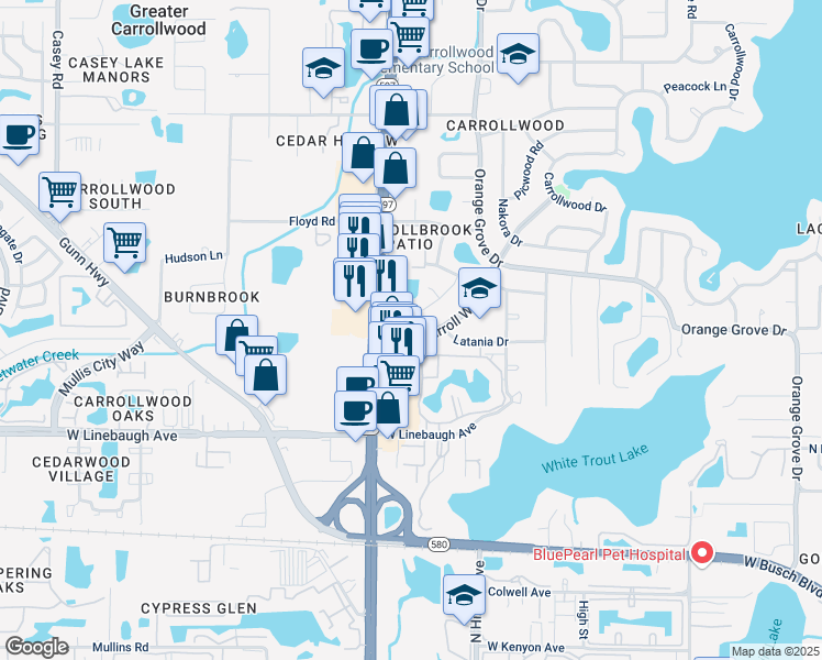 map of restaurants, bars, coffee shops, grocery stores, and more near 10312 Lake Carroll Way in Tampa
