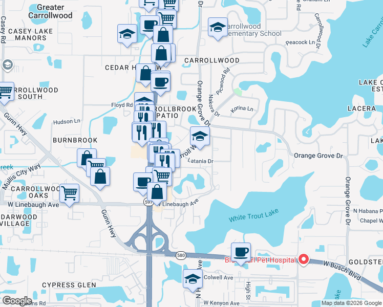 map of restaurants, bars, coffee shops, grocery stores, and more near 10403 Lake Carroll Way in Tampa
