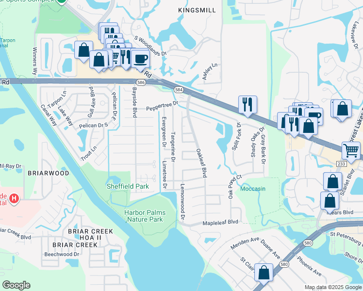 map of restaurants, bars, coffee shops, grocery stores, and more near 1811 Chinaberry Drive in Oldsmar