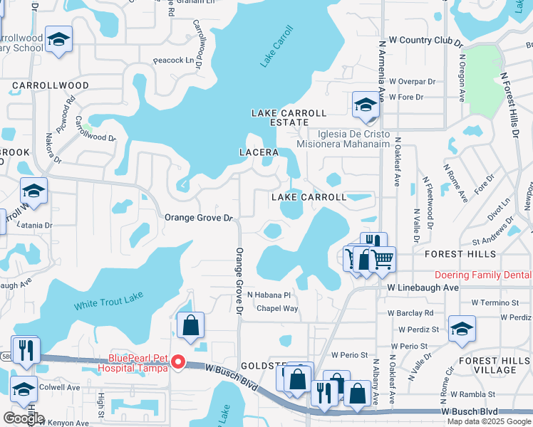 map of restaurants, bars, coffee shops, grocery stores, and more near 10502 Lacera Drive in Tampa