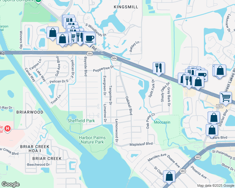 map of restaurants, bars, coffee shops, grocery stores, and more near 1811 Chinaberry Drive in Oldsmar