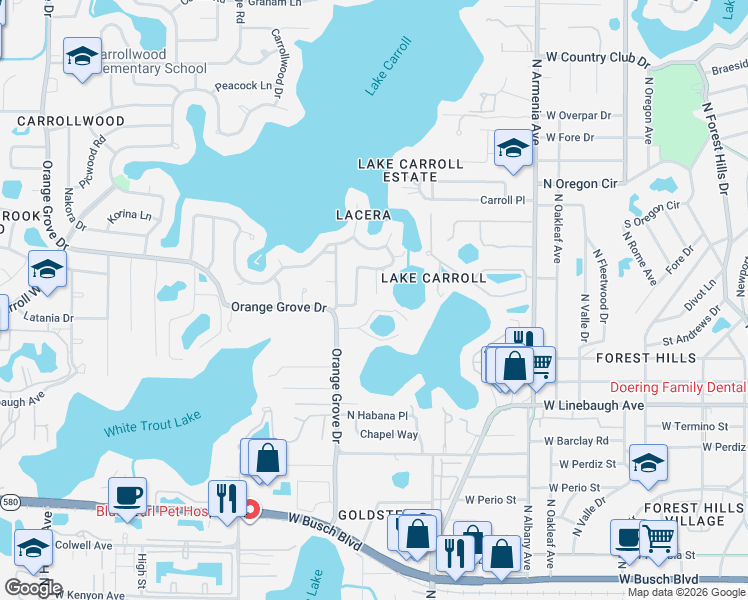map of restaurants, bars, coffee shops, grocery stores, and more near 10502 Lacera Drive in Tampa