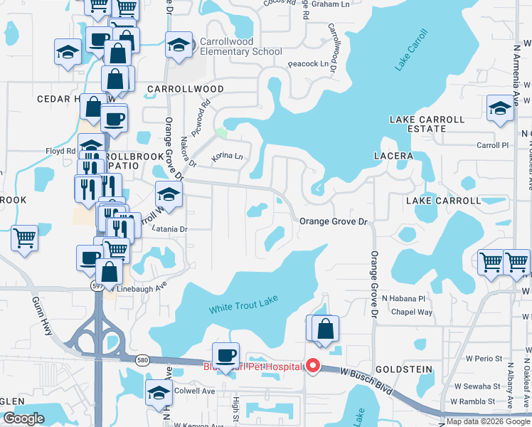 map of restaurants, bars, coffee shops, grocery stores, and more near 10117 Woodsong Way in Tampa