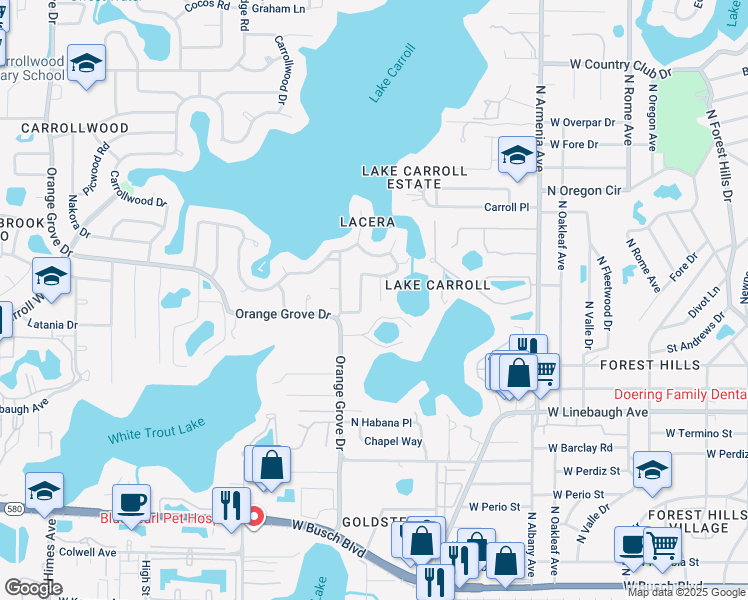map of restaurants, bars, coffee shops, grocery stores, and more near 10502 Lacera Drive in Tampa