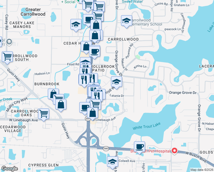 map of restaurants, bars, coffee shops, grocery stores, and more near 10403 Lake Carroll Way in Tampa