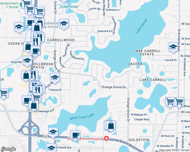 map of restaurants, bars, coffee shops, grocery stores, and more near 10419 Orange Grove Drive in Tampa