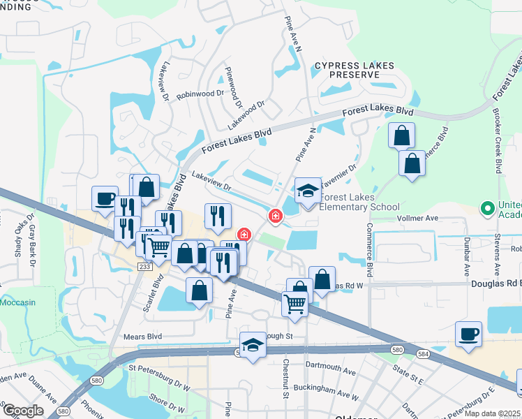 map of restaurants, bars, coffee shops, grocery stores, and more near 208 Hemingway Drive in Oldsmar