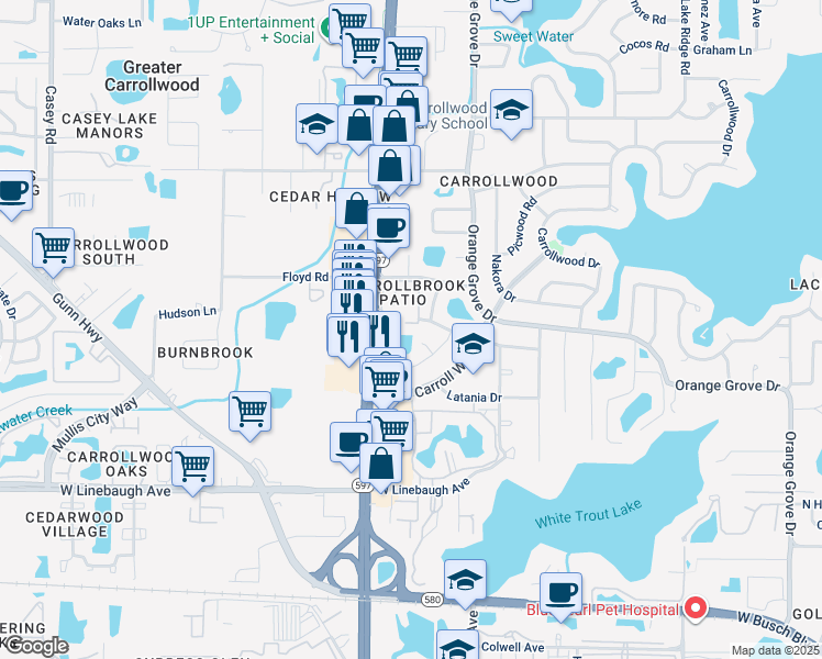 map of restaurants, bars, coffee shops, grocery stores, and more near 10609 Carrollbrook Lane in Tampa