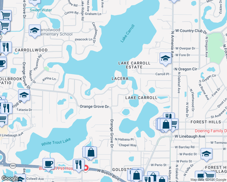 map of restaurants, bars, coffee shops, grocery stores, and more near 10519 Carrollview Drive in Tampa