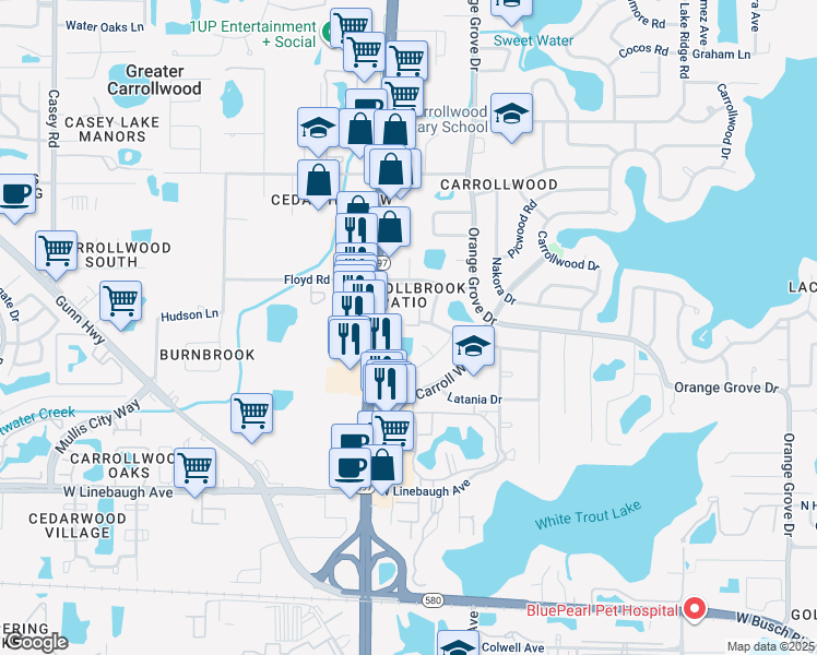 map of restaurants, bars, coffee shops, grocery stores, and more near 10609 Carrollbrook Lane in Tampa