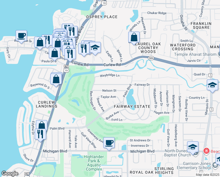 map of restaurants, bars, coffee shops, grocery stores, and more near 1185 Nelson Street in Dunedin