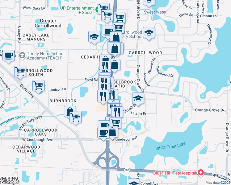 map of restaurants, bars, coffee shops, grocery stores, and more near 10435 Carrollbrook Court in Greater Carrollwood