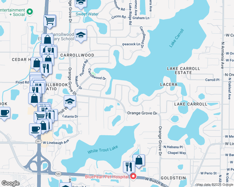 map of restaurants, bars, coffee shops, grocery stores, and more near 10419 Orange Grove Drive in Tampa