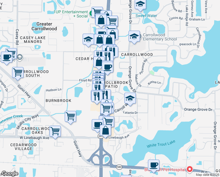map of restaurants, bars, coffee shops, grocery stores, and more near 3704 Carrollbrook Road in Tampa