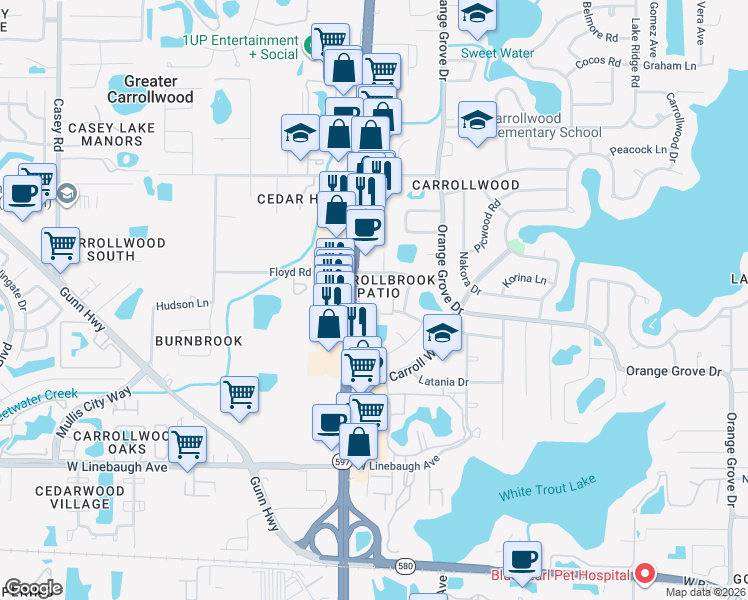 map of restaurants, bars, coffee shops, grocery stores, and more near 3704 Carrollbrook Road in Tampa