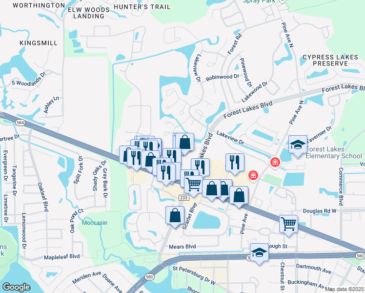 map of restaurants, bars, coffee shops, grocery stores, and more near 128 Camphor Circle in Oldsmar