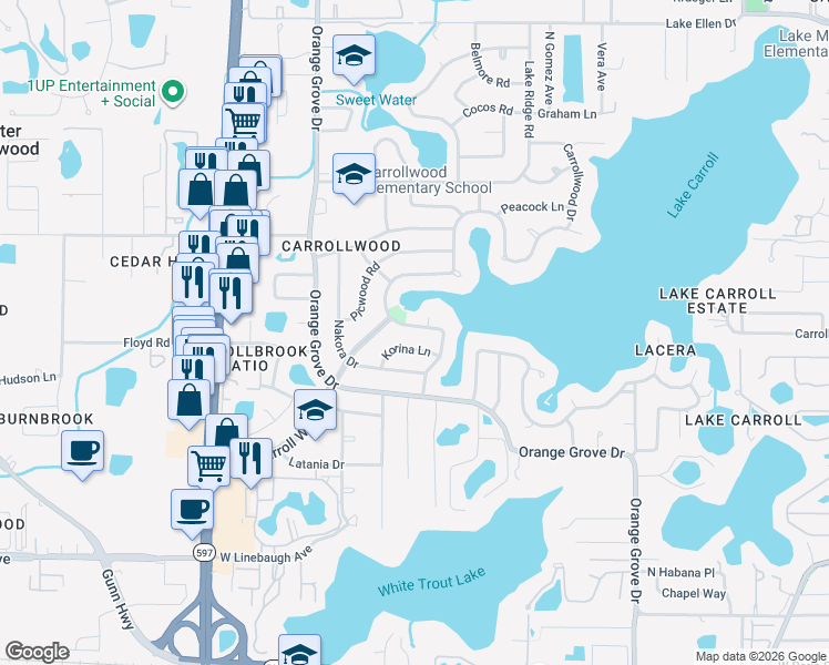 map of restaurants, bars, coffee shops, grocery stores, and more near 10715 Carrollwood Drive in Tampa