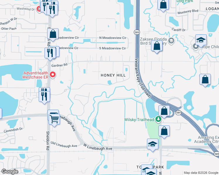 map of restaurants, bars, coffee shops, grocery stores, and more near 10901 Honey Hill Drive in Tampa