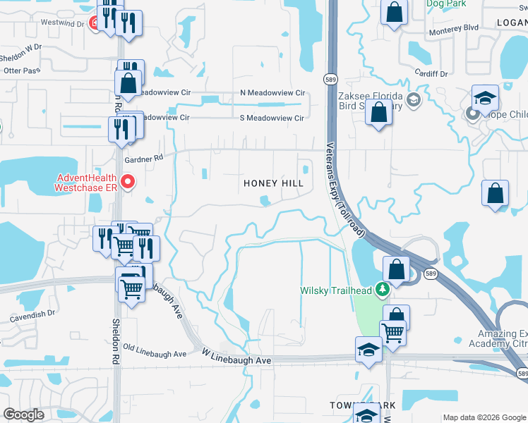map of restaurants, bars, coffee shops, grocery stores, and more near 10901 Honey Hill Drive in Tampa
