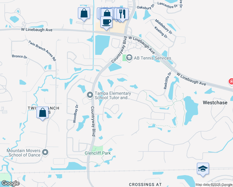 map of restaurants, bars, coffee shops, grocery stores, and more near 12030 Brewster Drive in Tampa