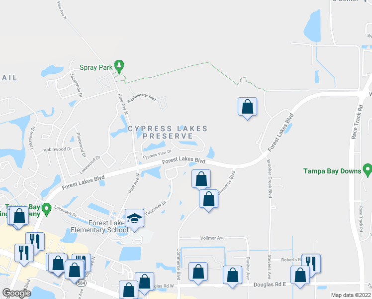 map of restaurants, bars, coffee shops, grocery stores, and more near 653 Lake Cypress Circle in Oldsmar