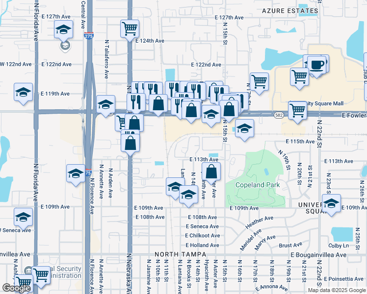 map of restaurants, bars, coffee shops, grocery stores, and more near 1264 East 113th Avenue in Tampa