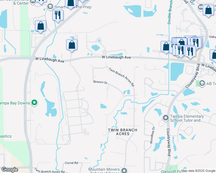 map of restaurants, bars, coffee shops, grocery stores, and more near 12509 Bronco Drive in Tampa